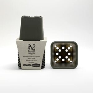 Zielone, biodegradowalne doniczki do wysiewu - Kwadratowe doniczki na nasiona (15 szt.) - 8 cm x 8 cm (szerokość x wysokość). Dostępne różne rozmiary.
