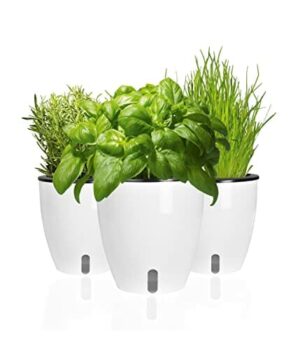 POKAR Zestaw doniczek na zioła, parapet, samonawadniający, zestaw 3 szt., ogród ziołowy, rabatka na kwiaty 19 x 18 x 11 cm