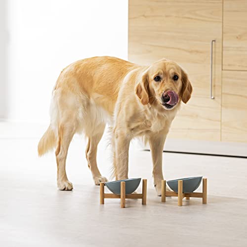 Navaris 2 x miska na karmę dla kota z drewnianym uchwytem – stacja dokarmiania 2 x ceramiczna miska dla kotów i psów – zestaw misków dla psów, z drewnianą podkładką - obrazek 5