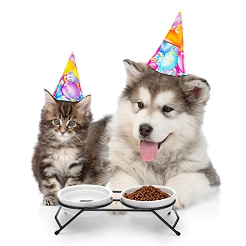 JOELELI Podwyższone miski dla kotów, podwójna miska dla kotów, ulepszone ceramiczne podwyższone poidło dla kotów, szczeniaków i małych psów, nadają się do mycia w zmywarce - obrazek 5