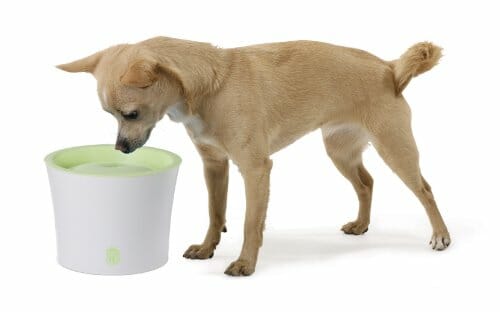 Catit 55600 Fontanna do Picia dla Kotów i Małych Psów, 3 Litry - obrazek 7