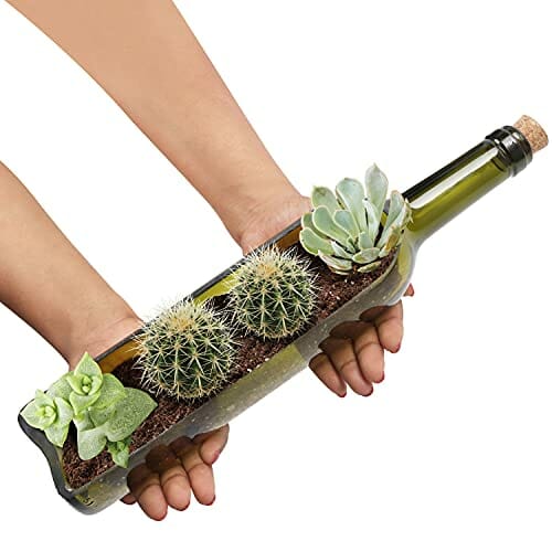 BELLE VOUS Zestaw 3 szklanych butelek wina, sukulenty, skrzynka na kwi - obrazek 6