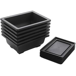 6 opakowań bonsai doniczki treningowe z tacą z tworzywa sztucznego bon