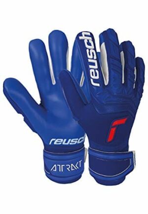 Reusch Attrakt Freegel Silver Glove Deep Blue/Deep Blue 10