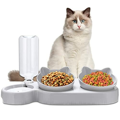 Miska dla kota z dozownikiem wody, zestaw 3 misek na karmę dla kotów i psów, nachylona o 15°, podwójna miska, na mokro i sucho, automatyczna ochrona odcinka szyjnego kręgosłupa
