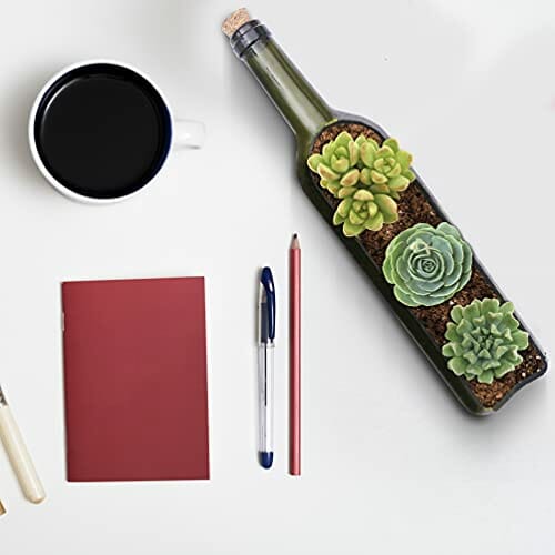 BELLE VOUS Zestaw 3 szklanych butelek wina, sukulenty, skrzynka na kwi - obrazek 3