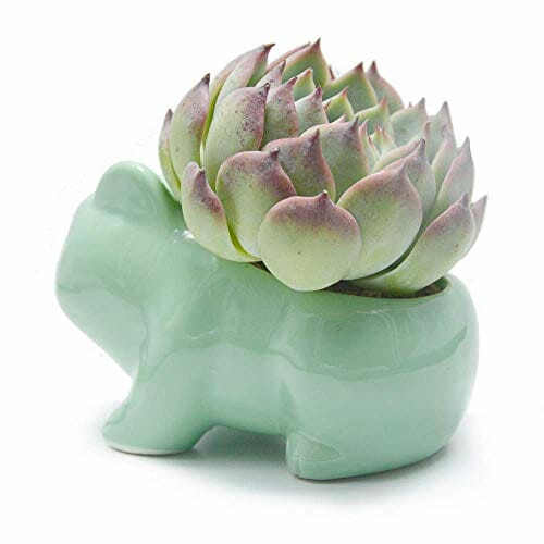 Binoster DIY doniczka śliczna ceramiczna sztuka doniczki dom dekoracyjna ceramika sztuka wazon zielony - obrazek 4