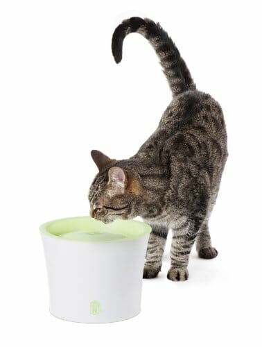 Catit 55600 Fontanna do Picia dla Kotów i Małych Psów, 3 Litry - obrazek 6