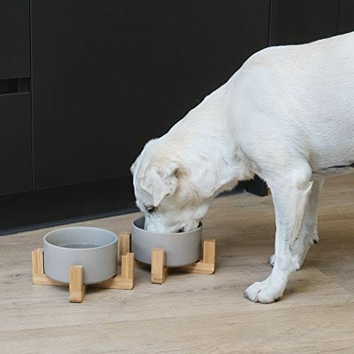 Navaris Ceramiczne podwyższone miski dla kotów - podwójna miska na kar - obrazek 3