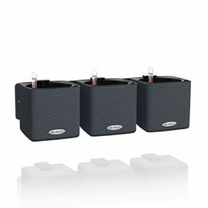 Lechuza Green Wall Home Kit Color trzy wysokiej jakości donice z systemem patyczków do nawadniania, metalową listwą i uchwytem magnetycznym, antracyt