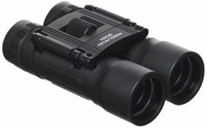 Jumelles pliables 10 x 25 Mil-Tec