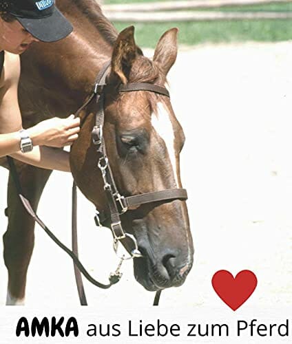 Horn sakwa | torba do spakowania | torba podsiodłowa westernowa torba przednia - obrazek 4