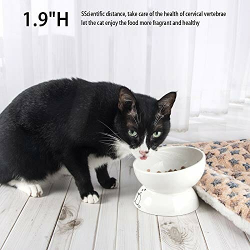 Burncalue Miska dla kota, miska na karmę, pokarm dla kotów, 30 ml, ceramiczna miska ze stojakiem, akcesoria dla kotów, ochrona przed przepływem zwrotnym, dla kotów i szczeniaków - obrazek 6
