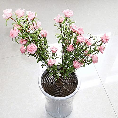 2 x Ochraniacze gleby do doniczek, Doniczka do ochrony roślin bezpieczeństwa, siatka ochronna do doniczek do ochrony dzieci i zwierząt domowych, Kolor Brązowy, Czarny - obrazek 3