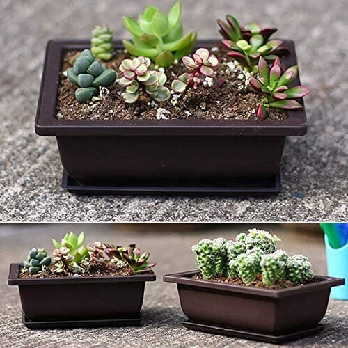 6 opakowań bonsai doniczki treningowe z tacą z tworzywa sztucznego bon - obrazek 7