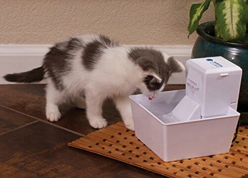 PetSafe Drinkwell zamienny filtr z węglem aktywnym do fontanny strumieniowej i Cube, organiczny, 4 sztuki - obrazek 4