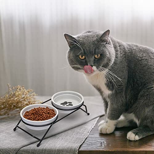 JOELELI Podwyższone miski dla kotów, podwójna miska dla kotów, ulepszone ceramiczne podwyższone poidło dla kotów, szczeniaków i małych psów, nadają się do mycia w zmywarce - obrazek 4