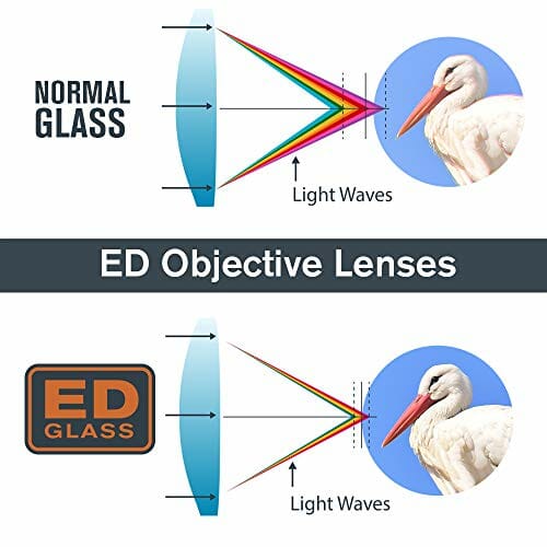 Celestron 71403 TrailSeeker ED 10 x 32 Roof Prism Binocular, Fully Bro - obrazek 14