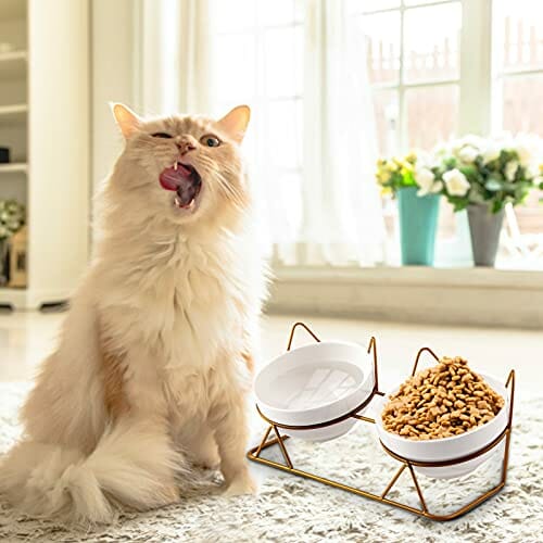JOELELI Miski dla kotów, podwójne, ceramiczne miski dla zwierząt z nachyleniem 15°, podwyższone miski dla kotów, podstawa na karmę i wodę, stacja karmienia dla kotów, idealne dla szczeniaków, kotów i małych psów (podwójna miska) - obrazek 3