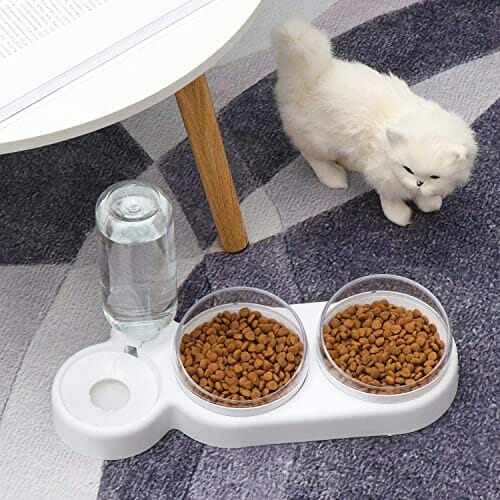 Zestaw mis dla kota pochylana o 15°, podwójna miska na karmę do mokrego i suchego karmu, z automatyczną butelką na wodę, dla małych i średnich psów i kotów - obrazek 2