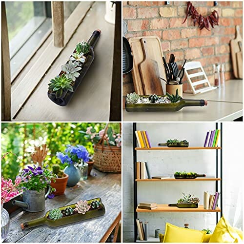 BELLE VOUS Zestaw 3 szklanych butelek wina, sukulenty, skrzynka na kwi - obrazek 2