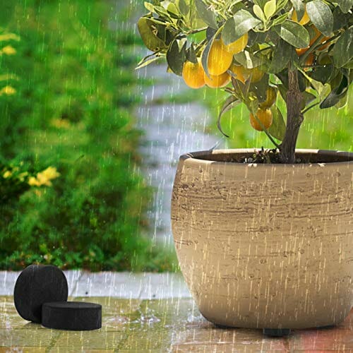 Belle Vous Niewidoczne Nóżki do Doniczek (50 Szt.) - Wsporniki do Doniczek - Antypoślizgowe z Samoprzylepnymi Podkładkami do Średnich i Dużych Donic - Podkładki do Roślin Wewnętrznych i Zewnętrznych - obrazek 6