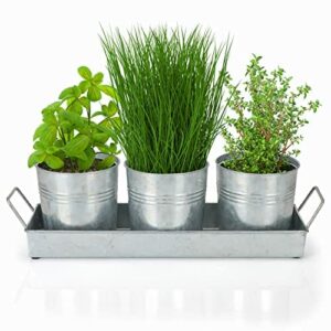Belle Vous Srebrne doniczki z tacą, 3 metalowe doniczki w stylu vintage z uchwytami do użytku w pomieszczeniach, na zewnątrz, do domu, ogrodu, kuchni i parapetu okiennego, na kwiaty, zioła, sukulenty i rękodzieło, doniczka