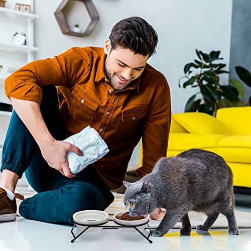 JOELELI Podwyższone miski dla kotów, podwójna miska dla kotów, ulepszone ceramiczne podwyższone poidło dla kotów, szczeniaków i małych psów, nadają się do mycia w zmywarce - obrazek 3