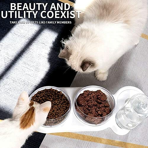 Zestaw mis dla kota pochylana o 15°, podwójna miska na karmę do mokrego i suchego karmu, z automatyczną butelką na wodę, dla małych i średnich psów i kotów - obrazek 3