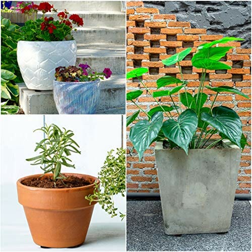 Belle Vous Niewidoczne Nóżki do Doniczek (50 Szt.) - Wsporniki do Doniczek - Antypoślizgowe z Samoprzylepnymi Podkładkami do Średnich i Dużych Donic - Podkładki do Roślin Wewnętrznych i Zewnętrznych - obrazek 3