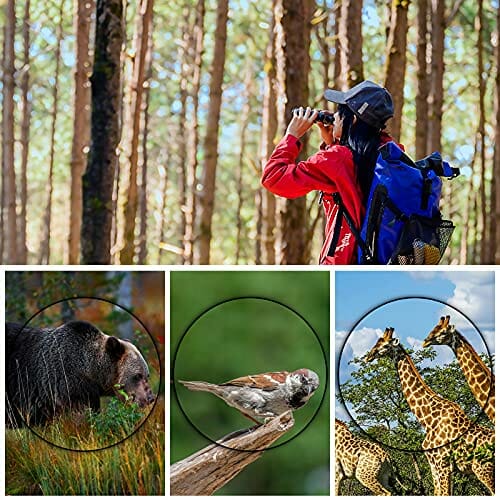 Qiaonato Lornetka dla dorosłych i dzieci, 8 x 21, mała lornetka, lekka lornetka do obserwacji ptaków, mistrzostw świata w piłce nożnej, wędrówek, polowań, zwiedzania polowań, nakłuwania polowego - obrazek 8