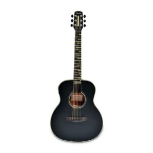 Poputar T2 Guitar