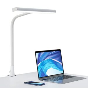 BEIGAON Lampa Biurkowa, Lampka biurkowa z zaciskiem na gęsiej szyi, 3 tryby kolorów bezstopniowe przyciemnianie z pamięcią, 10W 1000 LM Lampa architektoniczna Biuro do nauki pracy Craft (Biały)