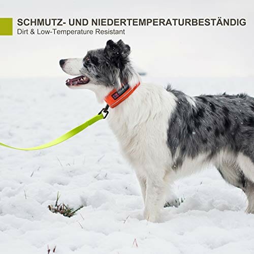 Toozey smycz dla psów, 5 m, 10 m, 15 m z paskiem na rękę i kieszenią z siatki, wodoszczelna - obrazek 4