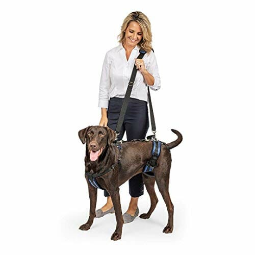 Petsafe PTV17-16879 Szelki, M, Czarny - obrazek 7