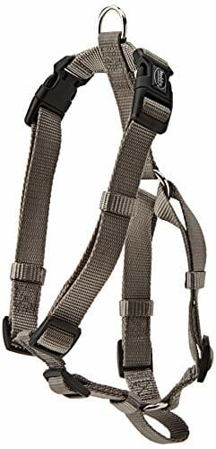 Nobby Klasyczna uprząż dla psa - obrazek 4