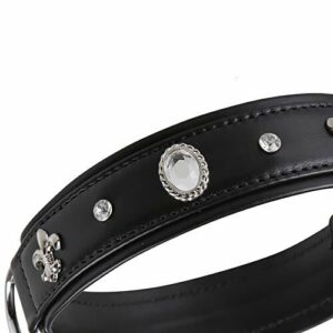 MICHUR Gala skórzana obroża dla psa, skórzana obroża dla psa, czarna skóra, z kryształami górskimi i dużym kryształem