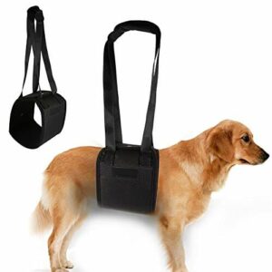 Szelki dla psa Pomoc do przenoszenia psa Pomoc do chodzenia Pies do re