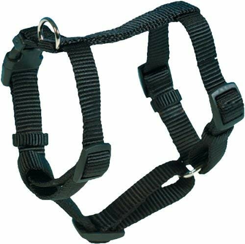 Trixie 20331 Premium H uprząż S-M: 40-65 cm/15 mm, czarna - obrazek 3