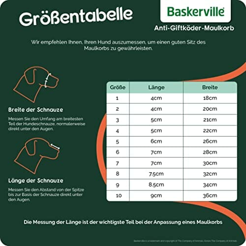 Company of Animals Baskerville Anty-Luz Pies Kaganiec, Rozmiar 4, Wyczyść - obrazek 4