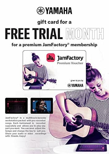 Yamaha GGUITARGO Zestaw Startowy do Gitary Akustycznej - obrazek 4