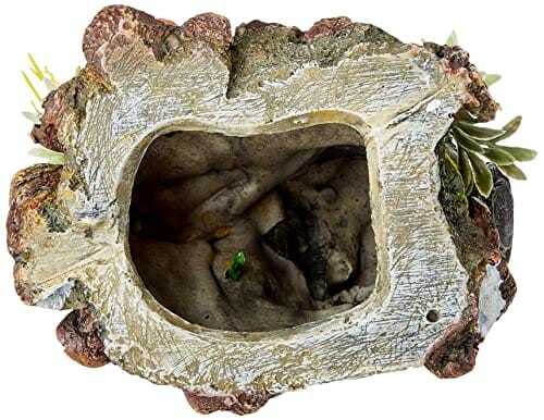 Nobby Kask z roślinami ozdoby do akwarium, 13,5 x 11 x 12 cm - obrazek 3