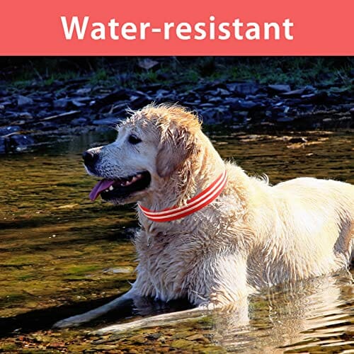 ObrożA Dla Psa Led BłYskająCa PodśWietlana ObrożA Dla Psa 100% Wodoodporna Akumulator Regulowana ZwięKszona Widoczność Super Jasna Dla MałYch śRednich DużYch PsóW - Czerwony -M - obrazek 8
