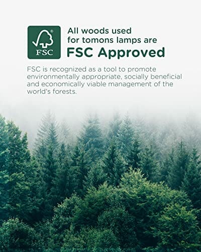 Tomons lampa biurkowa LED, lampka do czytania w klasycznym stylu drewna, lampa stołowa, regulowane ramię, zielona lampka na biurko w stylu retro, lampka do czytania dla dzieci, drewniana lampka nocna - obrazek 2