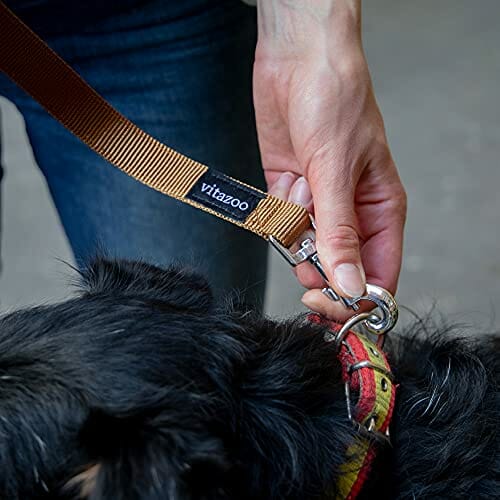 Brązowa smycz dla psa - regulowana, 4 długości, odpowiednia dla dużych - obrazek 2