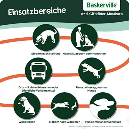 Company of Animals Baskerville Anty-Luz Pies Kaganiec, Rozmiar 4, Wyczyść - obrazek 5