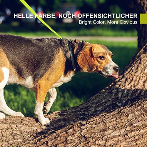 Toozey smycz dla psów, 5 m, 10 m, 15 m z paskiem na rękę i kieszenią z siatki, wodoszczelna - obrazek 2