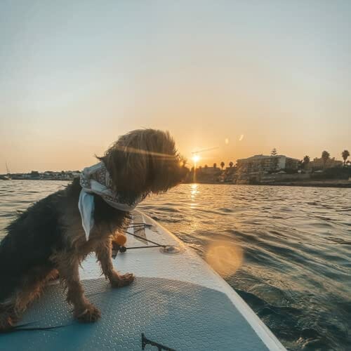 ANCHEER deska surfingowa stoisko 305×76×15cm SUP nadmuchiwany zarząd z akcesoriami,ładowność 130 kg,3 sztuk regulowany miąższ, podwójna pompa ręczna,pasek do stóp,Plecak - obrazek 7