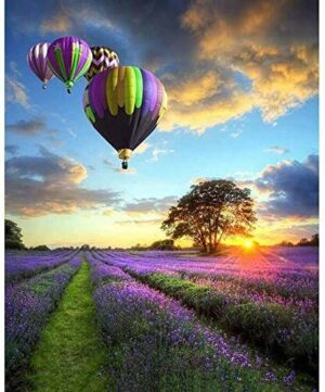 Obraz liczbowy dla dorosłych, zestaw farb olejnych na płótnie DIY dla