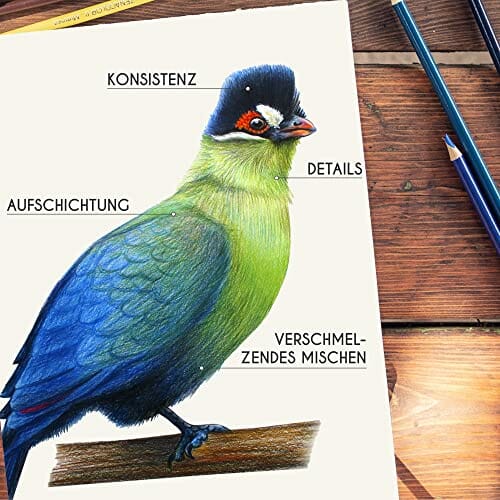 Zenacolor 160 kredek (numerowanych) - łatwe przechowywanie - profesjon - obrazek 5